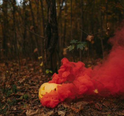 A mysterious forest setting with a Halloween pumpkin emitting colorful smoke.