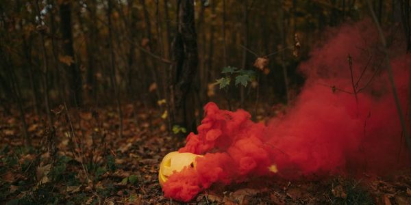 A mysterious forest setting with a Halloween pumpkin emitting colorful smoke.